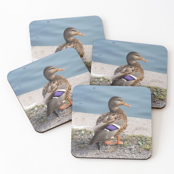 Item preview, A Curious Duck Watching Me designed and sold by BackyardBirder.