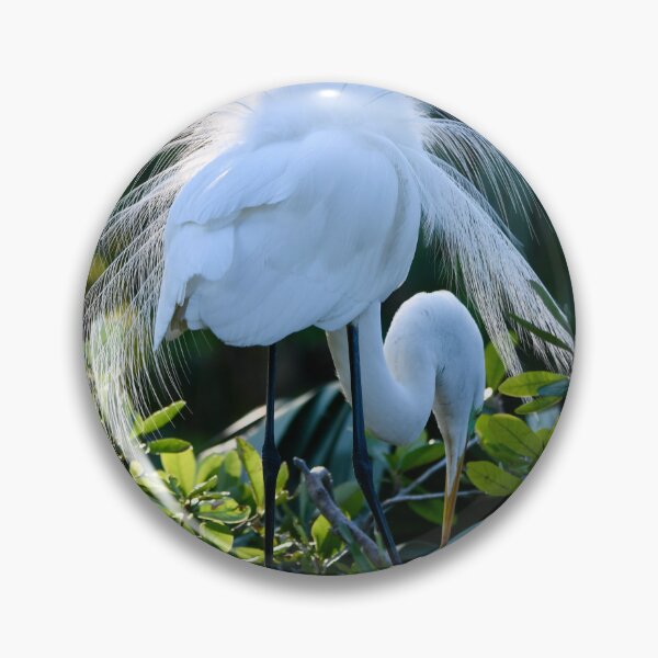 Item preview, Great Egret Nesting Season Display designed and sold by richardbryce.