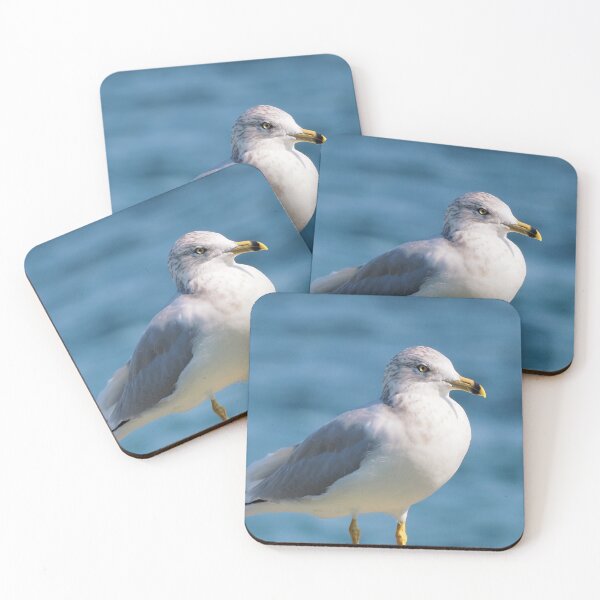 Item preview, A Gull By The Water designed and sold by BackyardBirder.