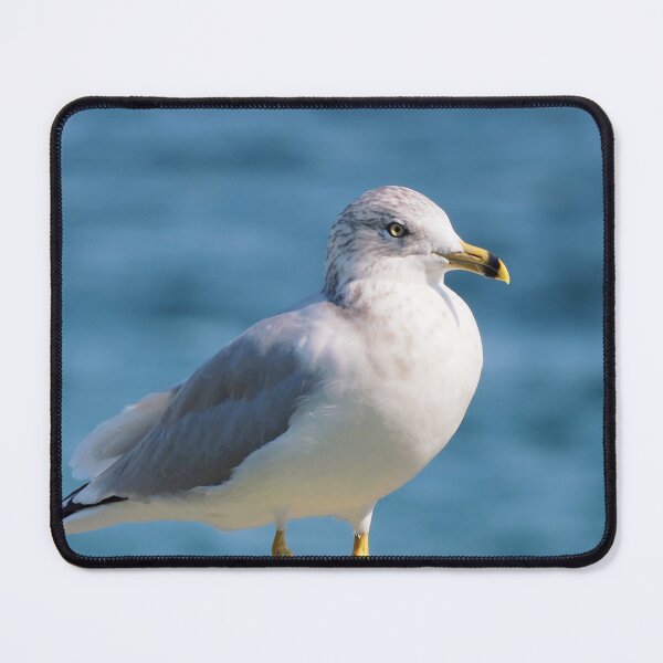 Item preview, A Gull By The Water designed and sold by BackyardBirder.