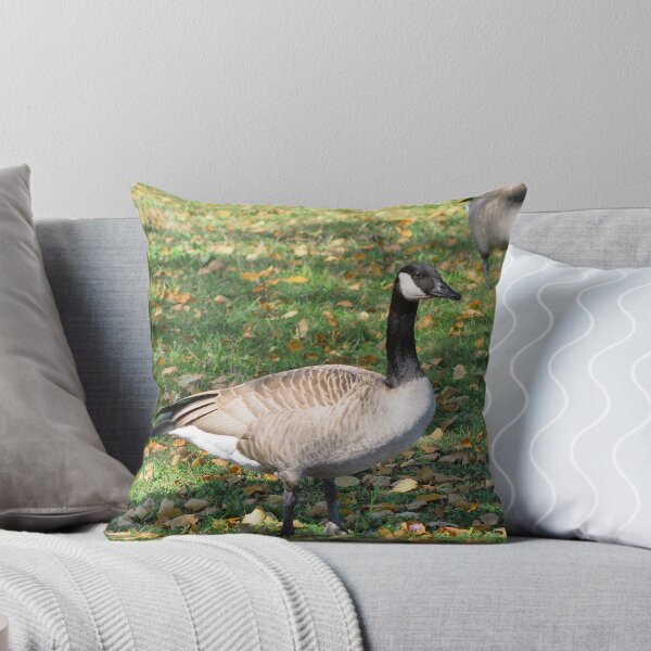 Item preview, Canada Geese Standing On Fallen Leaves designed and sold by BackyardBirder.