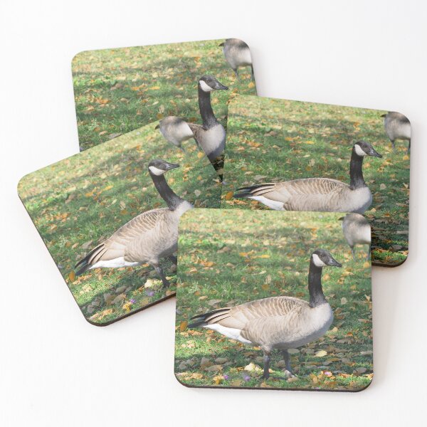 Item preview, Canada Geese Standing On Fallen Leaves designed and sold by BackyardBirder.