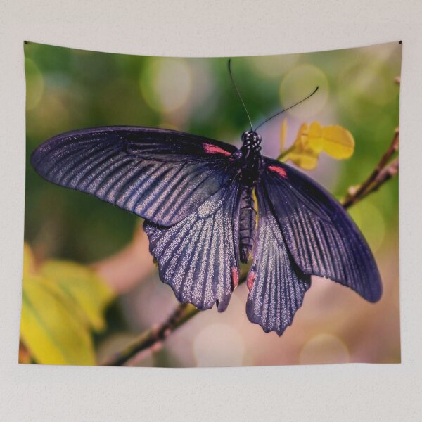 Item preview, Asian Swallowtail designed and sold by ScenicViewPics.