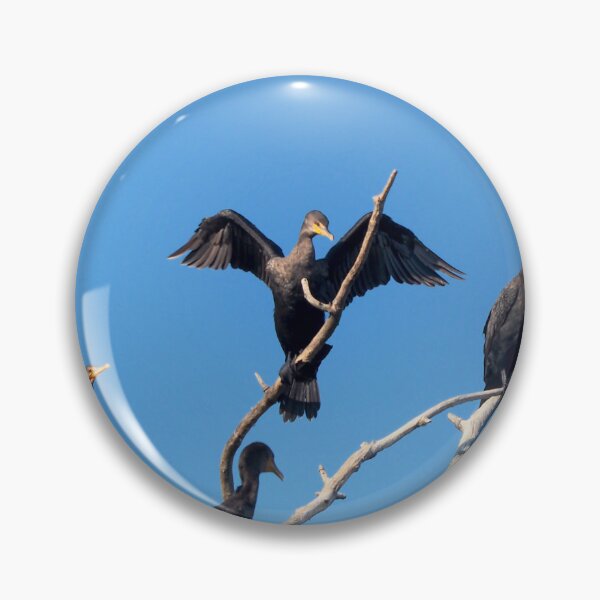 Item preview, Double-crested Cormorants In a Tree With Its Wings Spread designed and sold by BackyardBirder.