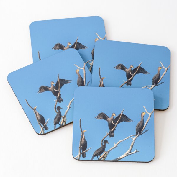 Item preview, Double-crested Cormorants In a Tree With Its Wings Spread designed and sold by BackyardBirder.