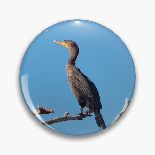 Item preview, A Double-crested Cormorant Perching designed and sold by BackyardBirder.