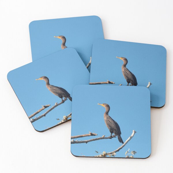 Item preview, A Double-crested Cormorant Perching designed and sold by BackyardBirder.