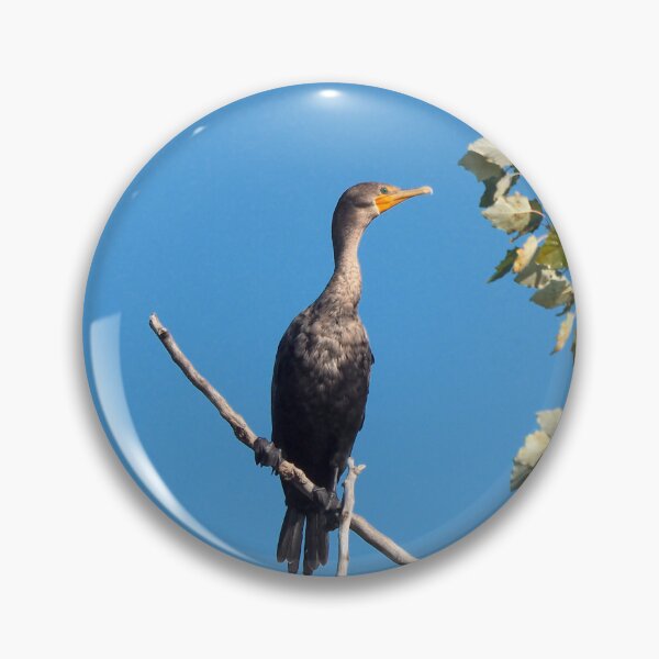 Item preview, A Double-crested Cormorant High Up On a Tree designed and sold by BackyardBirder.