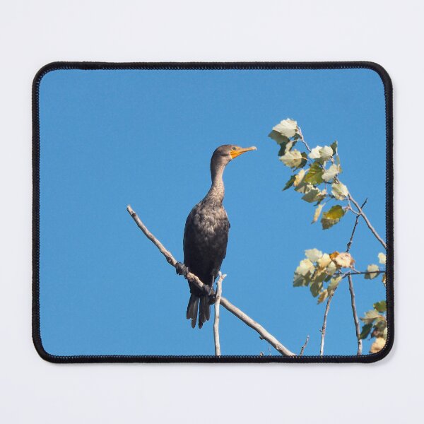 Item preview, A Double-crested Cormorant High Up On a Tree designed and sold by BackyardBirder.