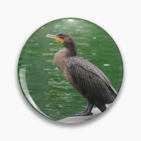 Item preview, Two Double-crested Cormorants Resting By a Pond designed and sold by BackyardBirder.