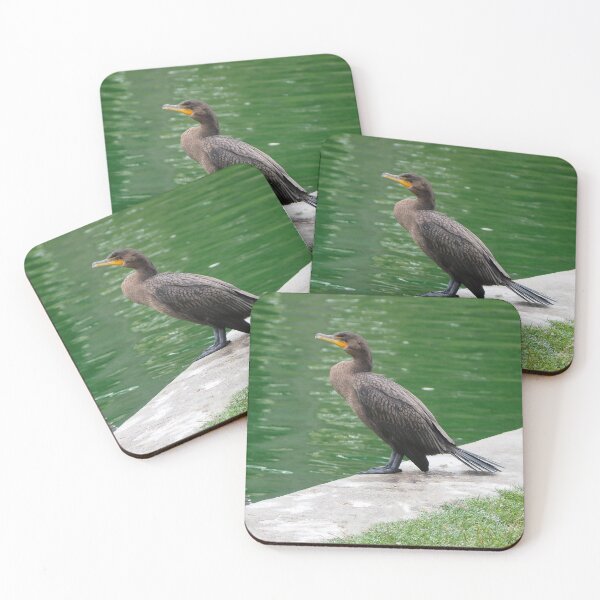 Item preview, Two Double-crested Cormorants Resting By a Pond designed and sold by BackyardBirder.