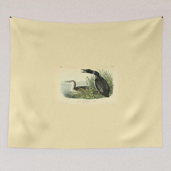 Item preview, Loons from Birds of America by John James Audubon designed and sold by Amanda1775.