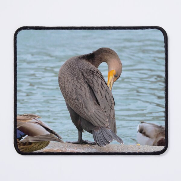 Item preview, Preening Double-crested Cormorant designed and sold by BackyardBirder.
