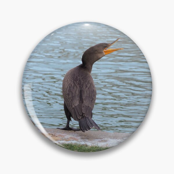 Item preview, A Double-crested Cormorant Next To a Pond designed and sold by BackyardBirder.