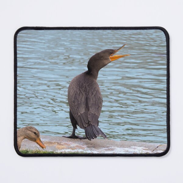 Item preview, A Double-crested Cormorant Next To a Pond designed and sold by BackyardBirder.