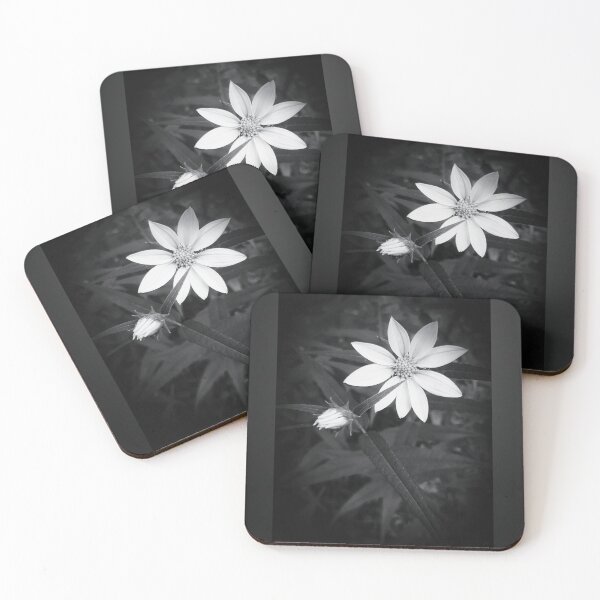 Item preview, Black and White Wildflower  designed and sold by Blossom-Breeze.