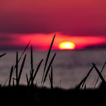 Artwork thumbnail, Red Sunset by cescodj