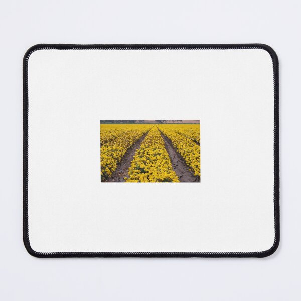 Item preview, Gilroy Flowers designed and sold by Hudson Photography.