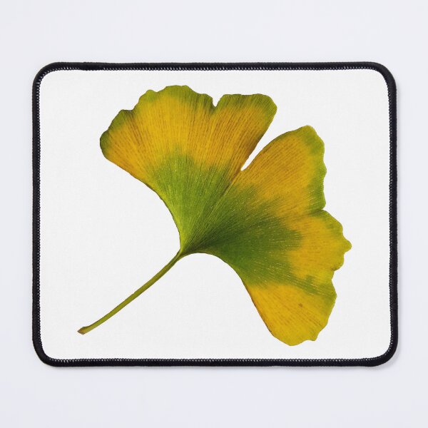 Item preview, Autumn Ginkgo Biloba Art Photography Yellow Green Leaf designed and sold by Carl's Clothing.
