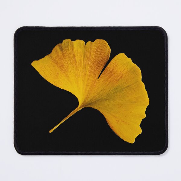Item preview, Autumn Ginkgo Biloba Art Photography Autumnal Gingko Leaf designed and sold by Carl's Clothing.