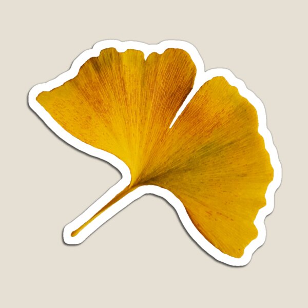 Item preview, Autumn Ginkgo Biloba Art Photography Autumnal Gingko Leaf designed and sold by Carl's Clothing.