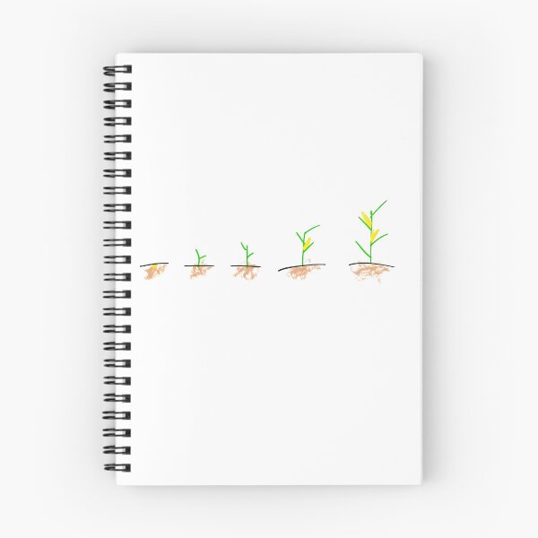Item preview, Stages of Corn Plant Growth designed and sold by Pahjongg.
