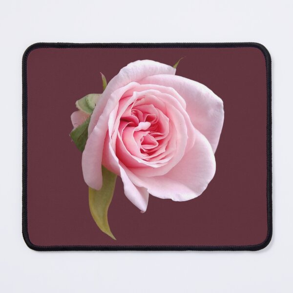 Item preview, Pink Rose designed and sold by boldtvillemayor.