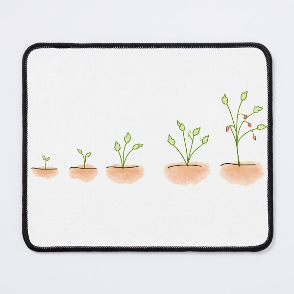 Item preview, Stages of Strawberry Plant Growth designed and sold by Pahjongg.