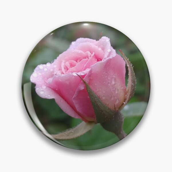 Item preview, Pink Sweetheart Rose with Dew designed and sold by boldtvillemayor.