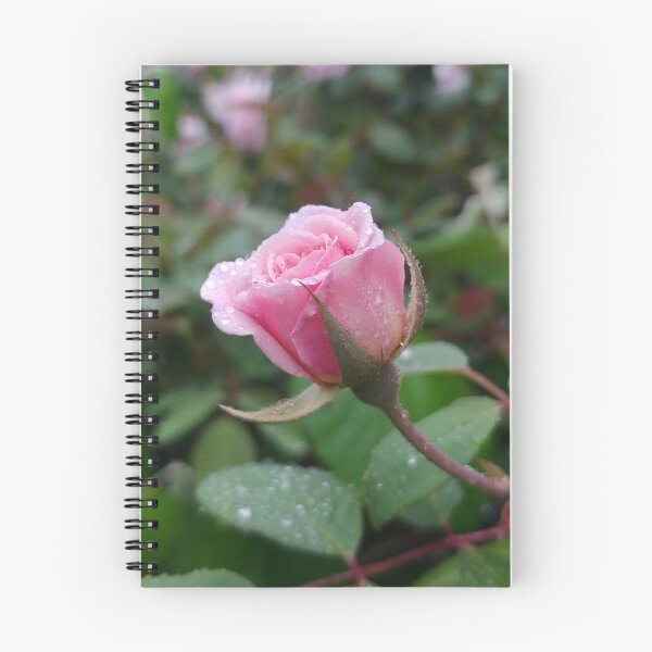 Item preview, Pink Sweetheart Rose with Dew designed and sold by boldtvillemayor.