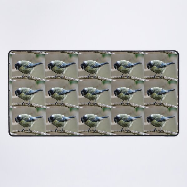 Item preview, blue tit designed and sold by KathleenDawson.