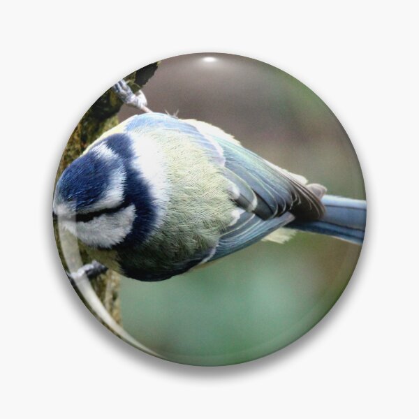 Item preview, blue tit designed and sold by KathleenDawson.