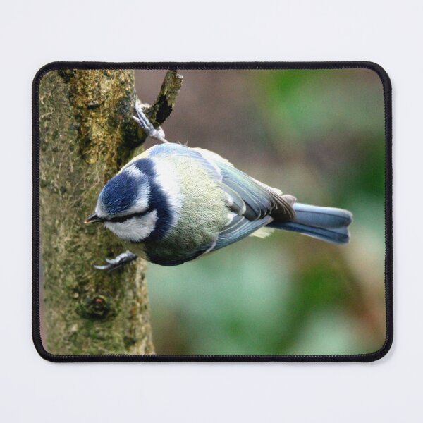 Item preview, blue tit designed and sold by KathleenDawson.
