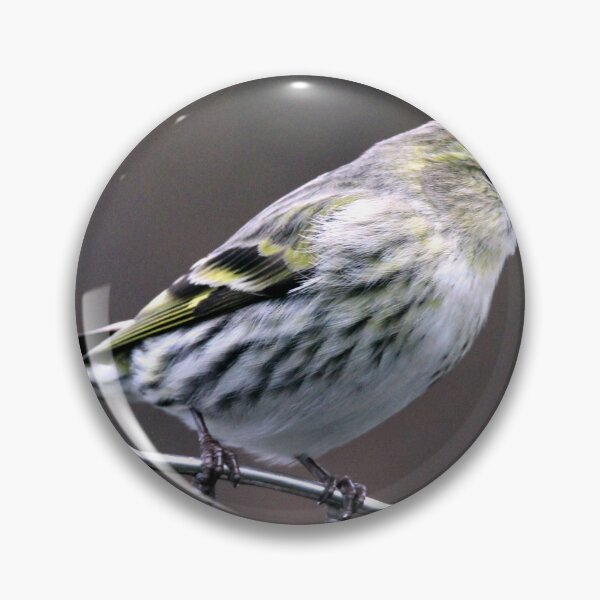 Item preview, siskin designed and sold by KathleenDawson.