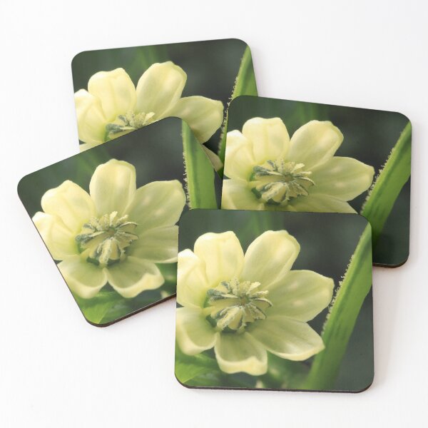 Item preview, Pale Yellow Wildflower Macro – Delicate Spring Bloom designed and sold by vikko-art.