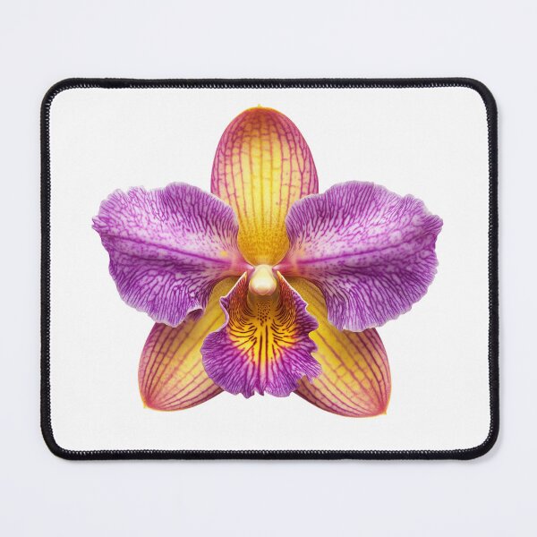 Item preview, Purple-Pink Orchid designed and sold by LuxChu.