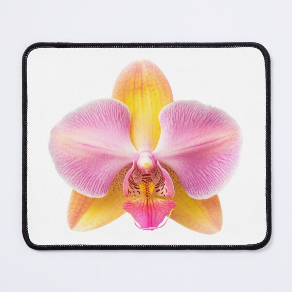 Item preview, Yellow-Pink Orchid designed and sold by LuxChu.