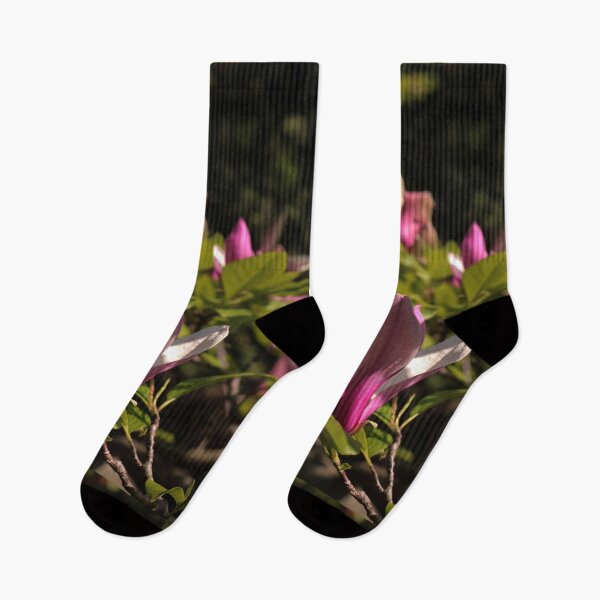 Item preview, Blooming Pink Magnolia – Sunlit Spring Elegance designed and sold by vikko-art.