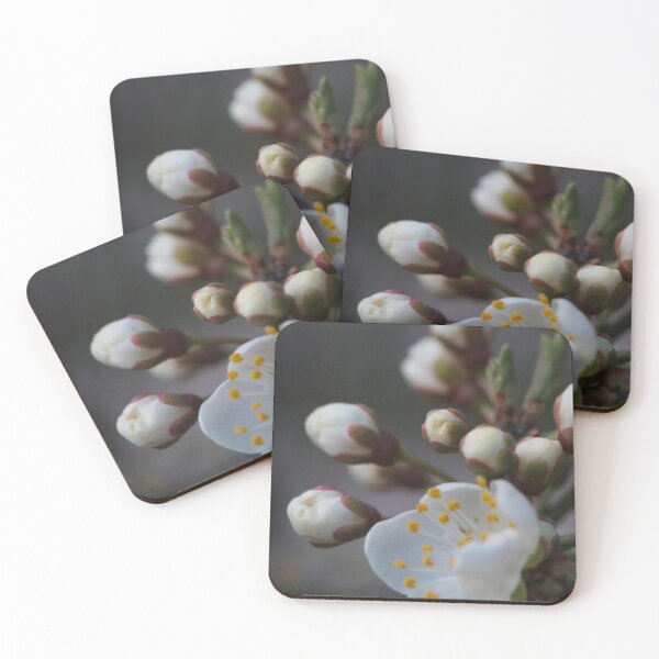 Item preview, White Spring Blossoms Macro – Delicate Morning Bloom designed and sold by vikko-art.