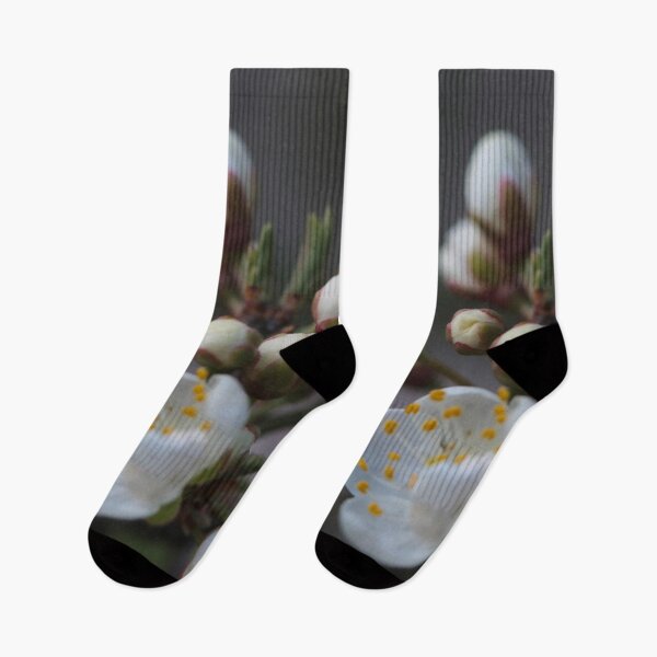 Item preview, White Spring Blossoms Macro – Delicate Morning Bloom designed and sold by vikko-art.