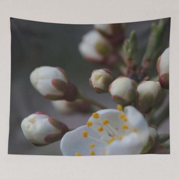 Item preview, White Spring Blossoms Macro – Delicate Morning Bloom designed and sold by vikko-art.