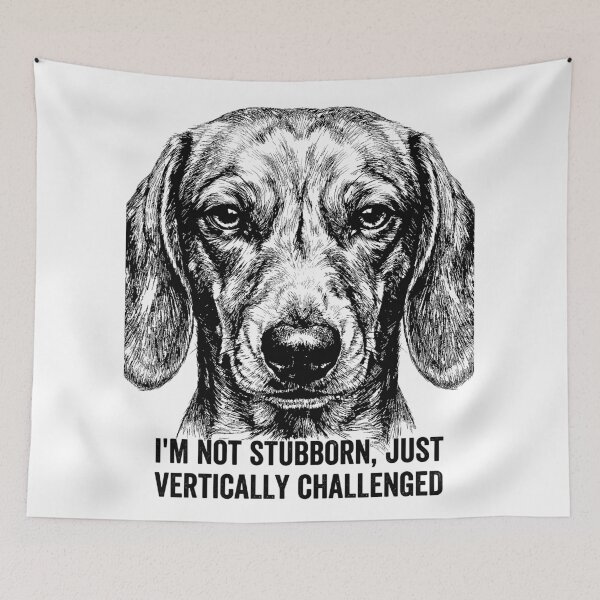 Item preview, The Determined Glare - Dachshund Dog designed and sold by bapupa.