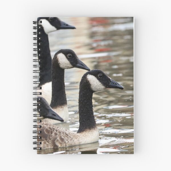 Item preview, Formation swimming designed and sold by GreyFeatherPhot.