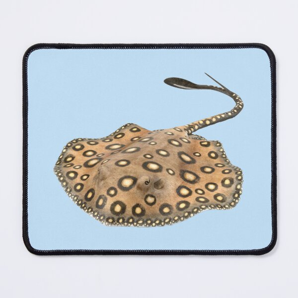 Item preview, Brown Freshwater Stingray designed and sold by hurmerinta.