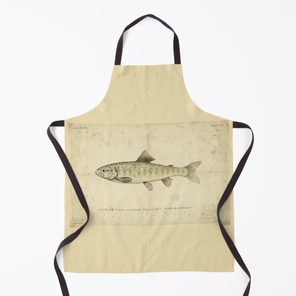 Item preview, Vintage Atlantic Salmon Parr Poster – Salmo salar – Antique Freshwater Fish Scientific Print designed and sold by Jeeklsdotcom.