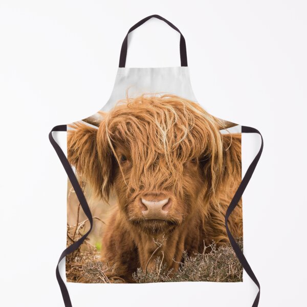 Item preview, Young Highland Cow designed and sold by Jane Stanley Photography.
