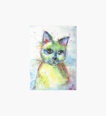 Colorful cat - with all its colors Art Board