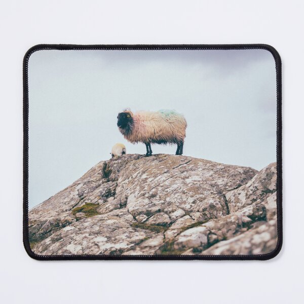 Item preview, Colorful Connemara Sheep Standing Proud on Coastal Rocks designed and sold by AshleyMobleyArt.