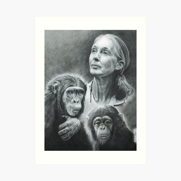WE ARE FAMILY JANE GOODALL Art Print
