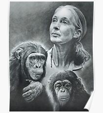 WE ARE FAMILY JANE GOODALL Poster